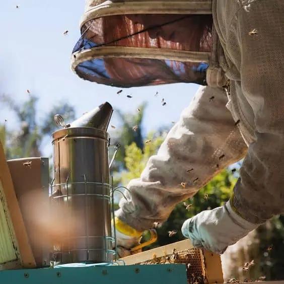 Chehel Kaman farm image